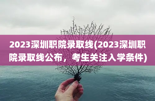 2023深圳职院录取线(2023深圳职院录取线公布，考生关注入学条件)