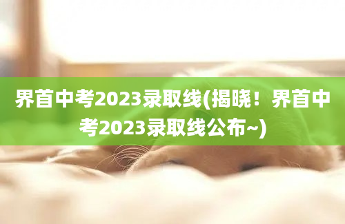 界首中考2023录取线(揭晓！界首中考2023录取线公布~)