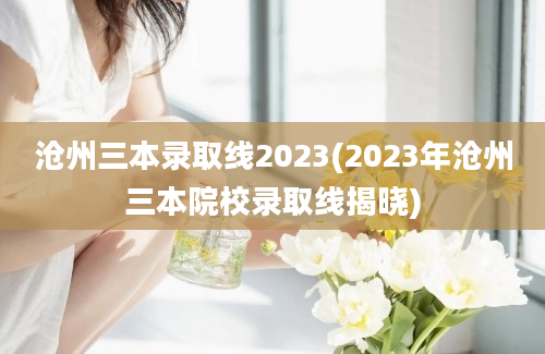 沧州三本录取线2023(2023年沧州三本院校录取线揭晓)
