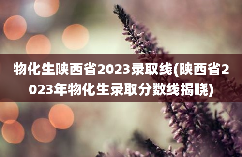 物化生陕西省2023录取线(陕西省2023年物化生录取分数线揭晓)
