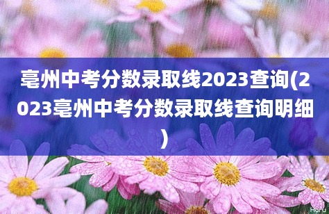 亳州中考分数录取线2023查询(2023亳州中考分数录取线查询明细)