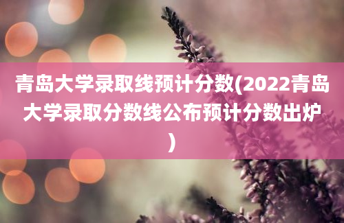 青岛大学录取线预计分数(2022青岛大学录取分数线公布预计分数出炉)