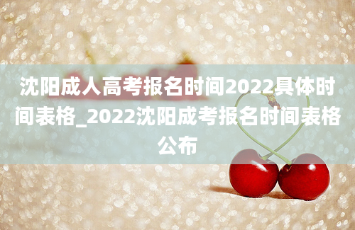 沈阳成人高考报名时间2022具体时间表格_2022沈阳成考报名时间表格公布