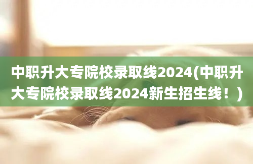 中职升大专院校录取线2024(中职升大专院校录取线2024新生招生线！)