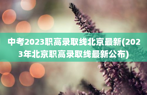 中考2023职高录取线北京最新(2023年北京职高录取线最新公布)