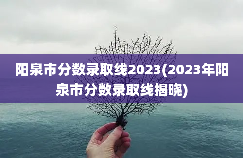 阳泉市分数录取线2023(2023年阳泉市分数录取线揭晓)