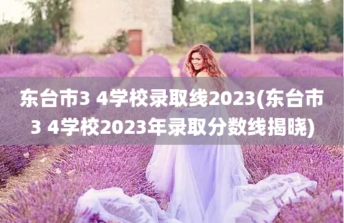 东台市3 4学校录取线2023(东台市3 4学校2023年录取分数线揭晓)