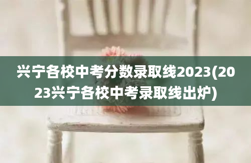 兴宁各校中考分数录取线2023(2023兴宁各校中考录取线出炉)