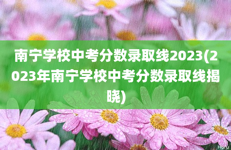 南宁学校中考分数录取线2023(2023年南宁学校中考分数录取线揭晓)
