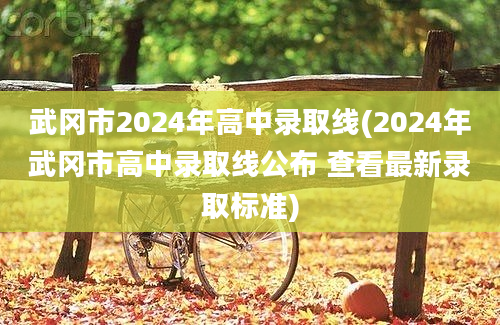 武冈市2024年高中录取线(2024年武冈市高中录取线公布 查看最新录取标准)