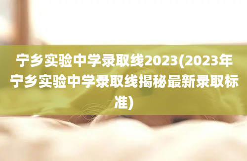 宁乡实验中学录取线2023(2023年宁乡实验中学录取线揭秘最新录取标准)