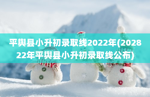平舆县小升初录取线2022年(202822年平舆县小升初录取线公布)