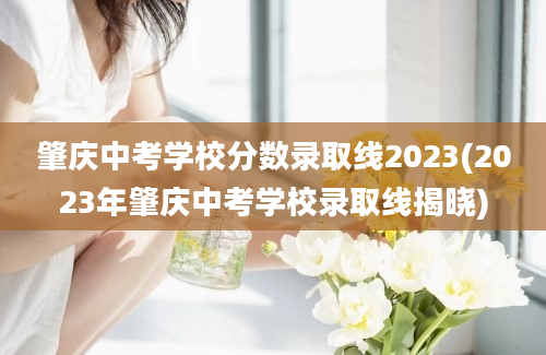 肇庆中考学校分数录取线2023(2023年肇庆中考学校录取线揭晓)