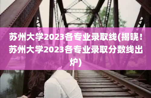 苏州大学2023各专业录取线(揭晓！苏州大学2023各专业录取分数线出炉)