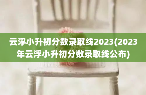 云浮小升初分数录取线2023(2023年云浮小升初分数录取线公布)
