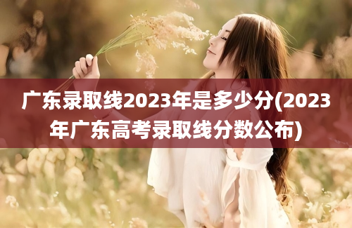 广东录取线2023年是多少分(2023年广东高考录取线分数公布)