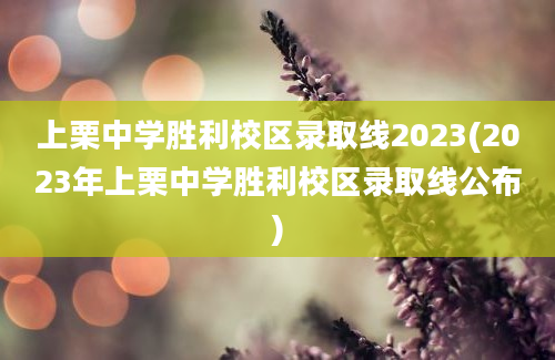 上栗中学胜利校区录取线2023(2023年上栗中学胜利校区录取线公布)