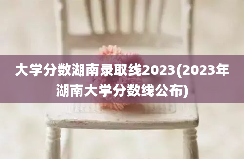 大学分数湖南录取线2023(2023年湖南大学分数线公布)