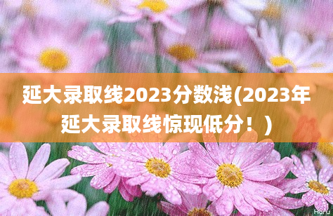 延大录取线2023分数浅(2023年延大录取线惊现低分！)