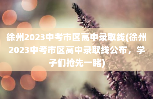 徐州2023中考市区高中录取线(徐州2023中考市区高中录取线公布，学子们抢先一睹)