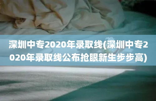 深圳中专2020年录取线(深圳中专2020年录取线公布抢眼新生步步高)
