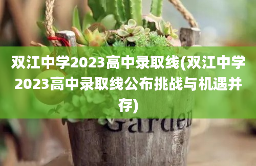 双江中学2023高中录取线(双江中学2023高中录取线公布挑战与机遇并存)