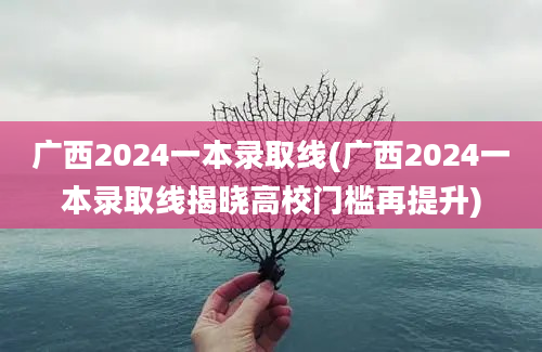 广西2024一本录取线(广西2024一本录取线揭晓高校门槛再提升)