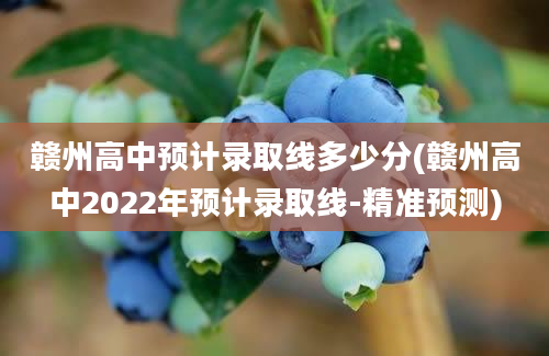 赣州高中预计录取线多少分(赣州高中2022年预计录取线-精准预测)