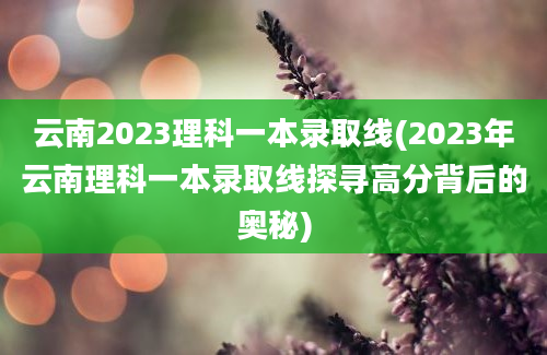 云南2023理科一本录取线(2023年云南理科一本录取线探寻高分背后的奥秘)