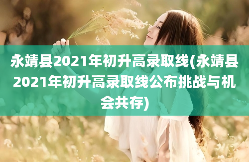永靖县2021年初升高录取线(永靖县2021年初升高录取线公布挑战与机会共存)