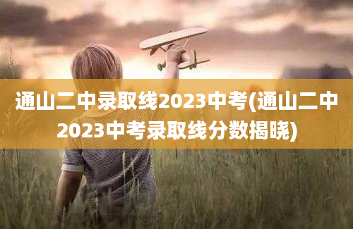 通山二中录取线2023中考(通山二中2023中考录取线分数揭晓)
