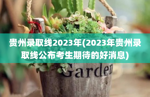 贵州录取线2023年(2023年贵州录取线公布考生期待的好消息)