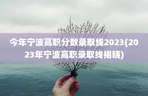 今年宁波高职分数录取线2023(2023年宁波高职录取线揭晓)