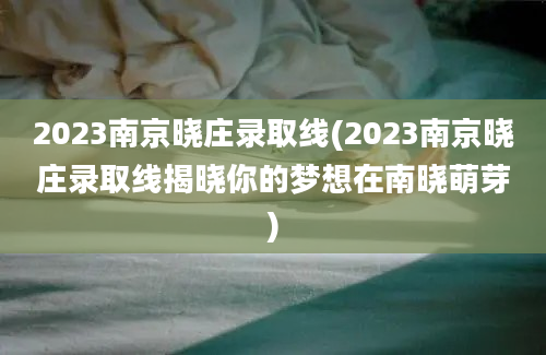 2023南京晓庄录取线(2023南京晓庄录取线揭晓你的梦想在南晓萌芽)