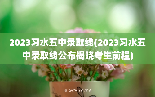 2023习水五中录取线(2023习水五中录取线公布揭晓考生前程)