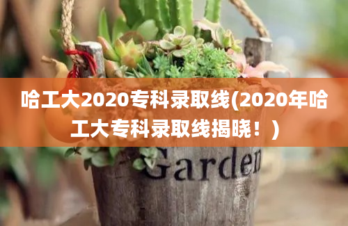 哈工大2020专科录取线(2020年哈工大专科录取线揭晓！)