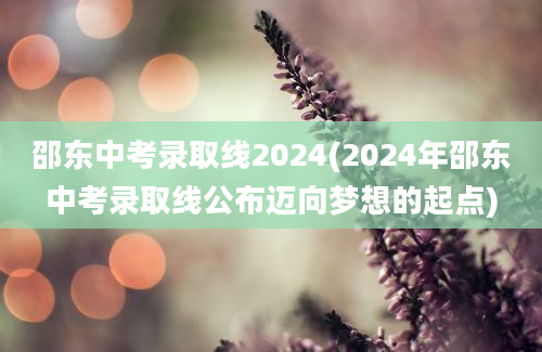 邵东中考录取线2024(2024年邵东中考录取线公布迈向梦想的起点)