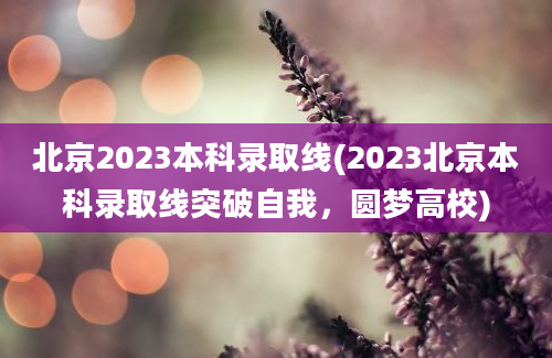 北京2023本科录取线(2023北京本科录取线突破自我，圆梦高校)