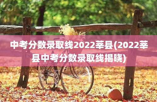 中考分数录取线2022莘县(2022莘县中考分数录取线揭晓)