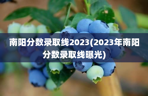 南阳分数录取线2023(2023年南阳分数录取线曝光)