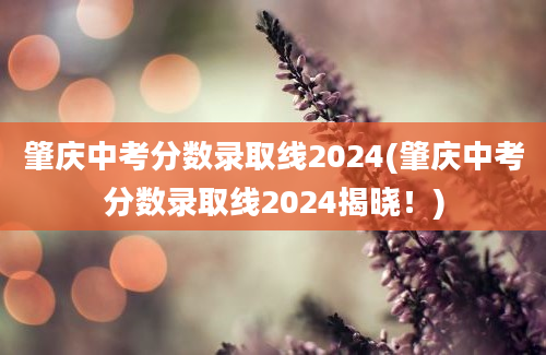 肇庆中考分数录取线2024(肇庆中考分数录取线2024揭晓！)