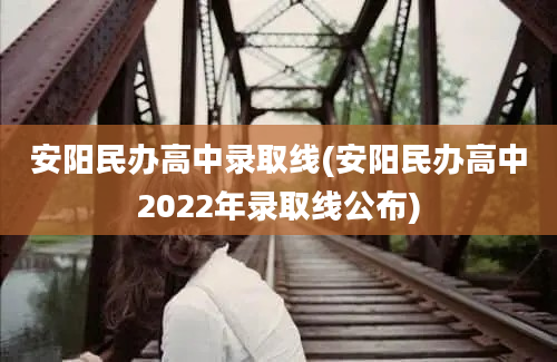 安阳民办高中录取线(安阳民办高中2022年录取线公布)
