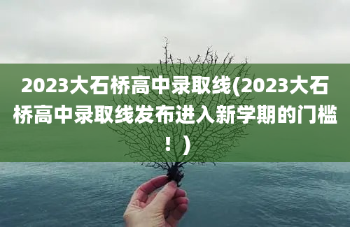 2023大石桥高中录取线(2023大石桥高中录取线发布进入新学期的门槛！)