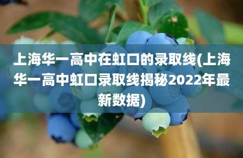 上海华一高中在虹口的录取线(上海华一高中虹口录取线揭秘2022年最新数据)