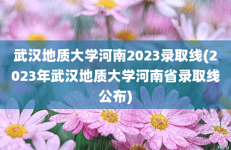 武汉地质大学河南2023录取线(2023年武汉地质大学河南省录取线公布)