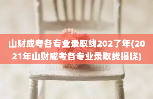 山财成考各专业录取线202了年(2021年山财成考各专业录取线揭晓)