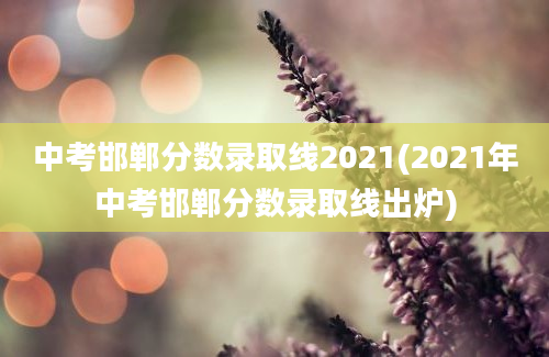 中考邯郸分数录取线2021(2021年中考邯郸分数录取线出炉)