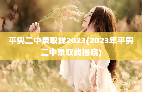 平舆二中录取线2023(2023年平舆二中录取线揭晓)