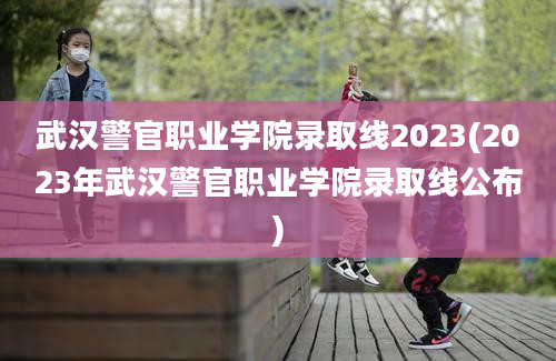 武汉警官职业学院录取线2023(2023年武汉警官职业学院录取线公布)