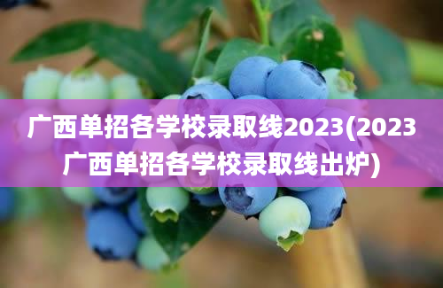广西单招各学校录取线2023(2023广西单招各学校录取线出炉)